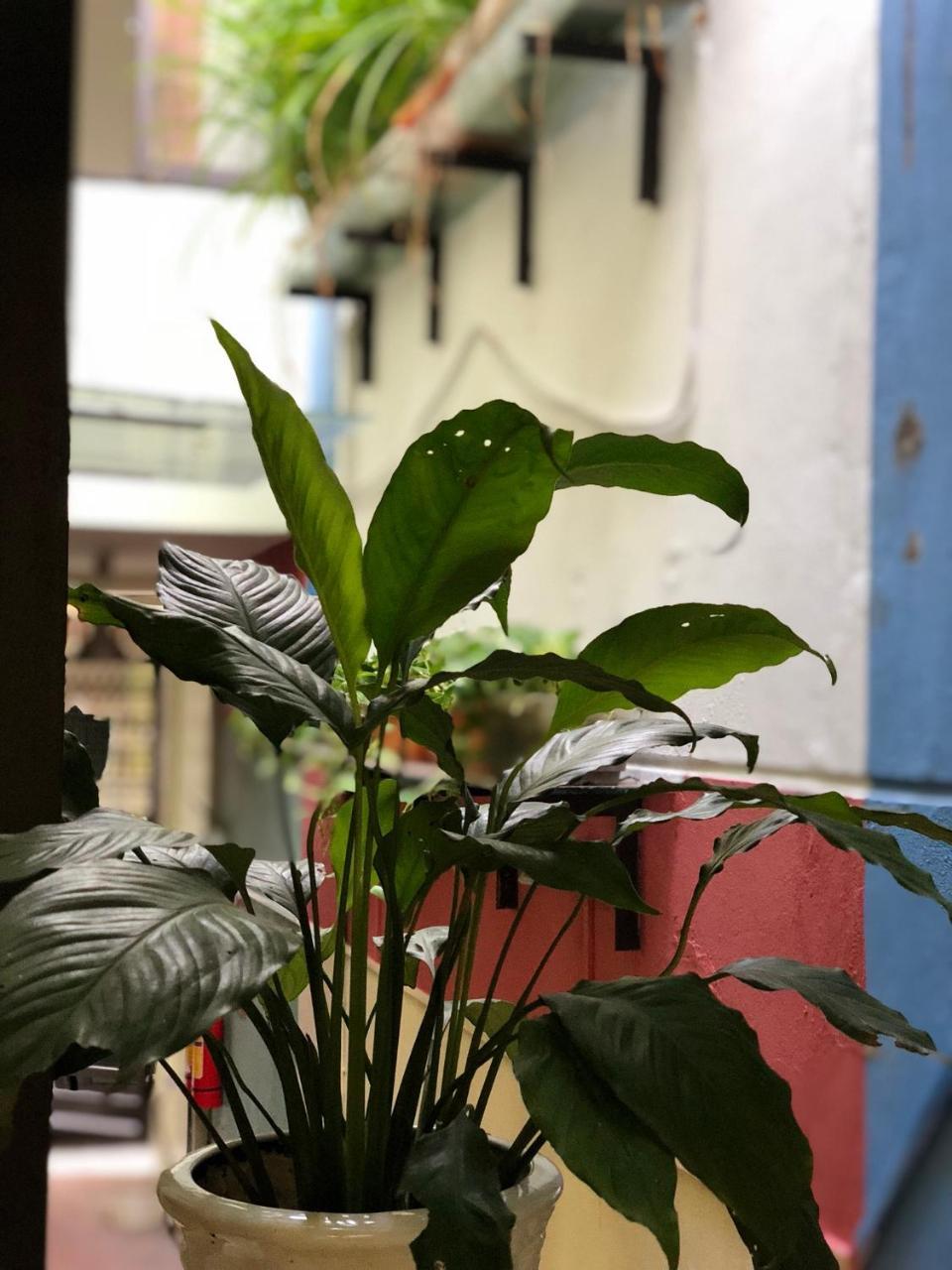 Ventana House Apartment Hai Phong Bagian luar foto