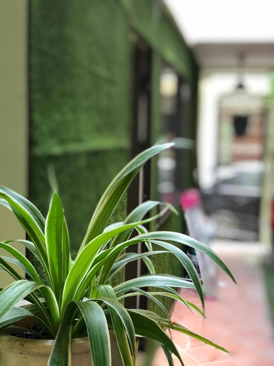 Ventana House Apartment Hai Phong Bagian luar foto